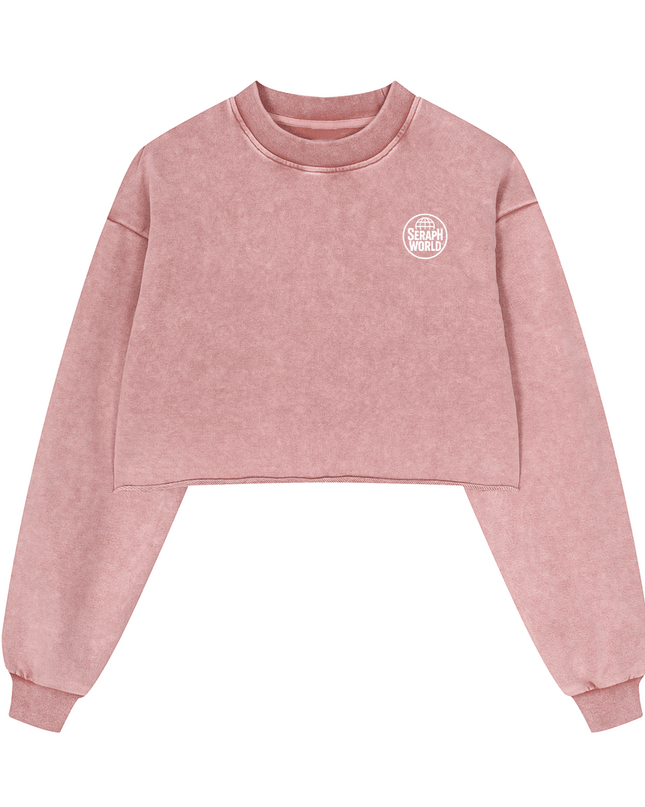 Seraph World Distressed Cropped Oversized Sweatshirt