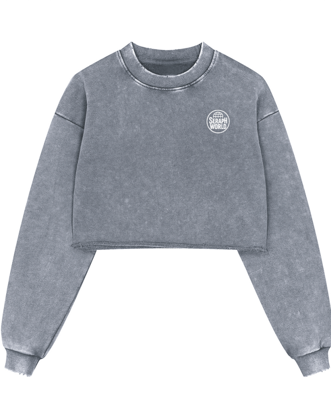 Seraph World Distressed Cropped Oversized Sweatshirt